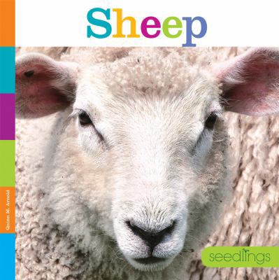Seedlings: Sheep 1628323965 Book Cover