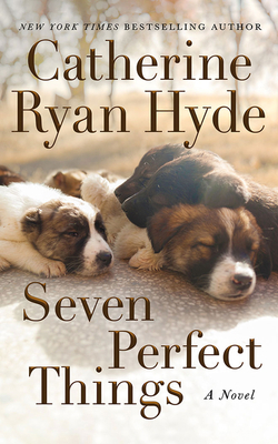 Seven Perfect Things 1713555999 Book Cover