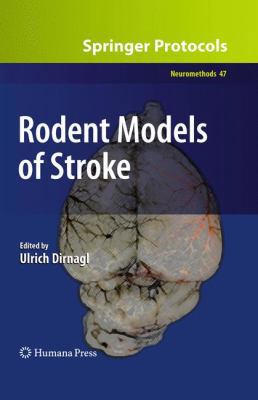 Rodent Models of Stroke 1607617498 Book Cover