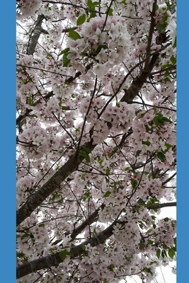 2020 Is My Year! 1705347703 Book Cover