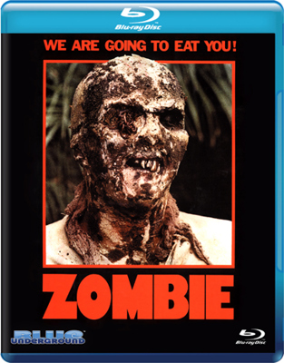 Zombie 6314779189 Book Cover