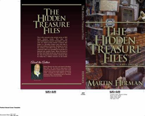 The Hidden Treasure Files: ...A Will James Mystery 1945211016 Book Cover