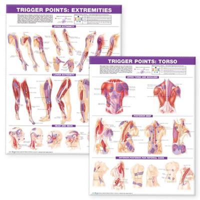 Trigger Point Chart Set: Torso & Extremities Paper 0781773067 Book Cover