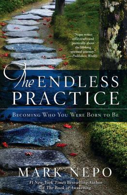 The Endless Practice: Becoming Who You Were Bor... 1476774668 Book Cover