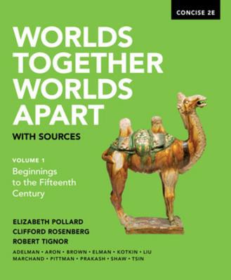 Worlds Together, Worlds Apart with Sources 0393668541 Book Cover