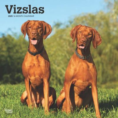 Vizslas 2025 12 X 24 Inch Monthly Square Wall C... 1975477936 Book Cover