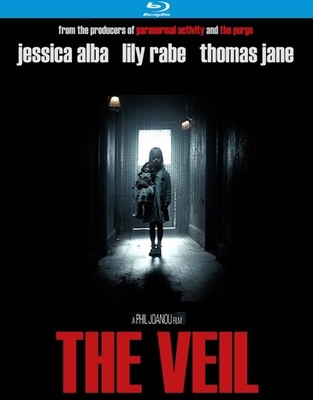 The Veil            Book Cover