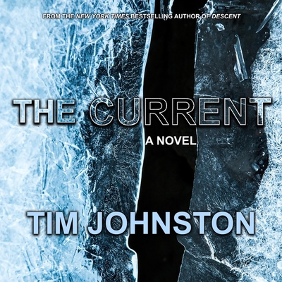 The Current 1665131942 Book Cover