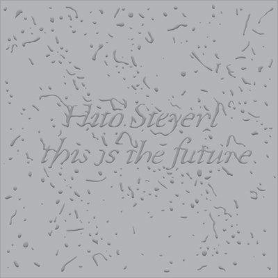 Hito Steyerl: This Is the Future 3791359274 Book Cover