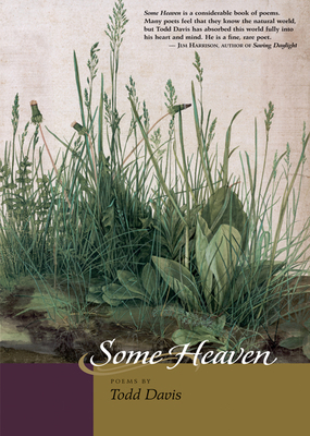 Some Heaven 0870138006 Book Cover