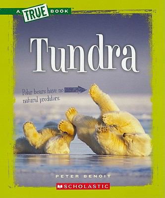 Tundra (A True Book) 0531281027 Book Cover