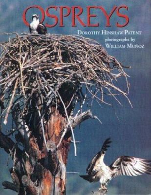 Ospreys Rnf 0395633915 Book Cover