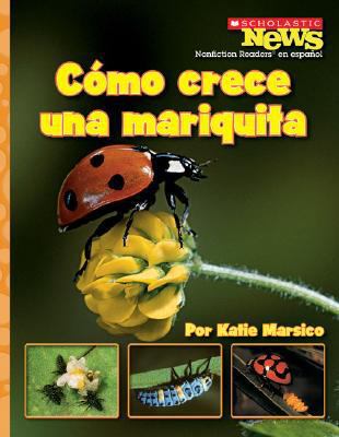 Como Crece una Mariquita = A Ladybug Larva Grow... [Spanish] 0531207102 Book Cover
