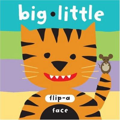 Big Little 1593541643 Book Cover