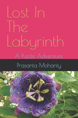 Lost In The Labyrinth: A Puzzle Adventure B0BVCXMKZD Book Cover