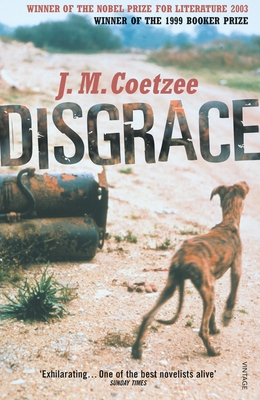 Disgrace: A BBC Radio 4 Good Read B006VAL7U0 Book Cover