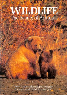 Wildlife the Beauty of Animals 1856130509 Book Cover