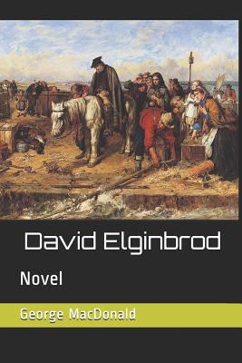 David Elginbrod: Novel 1729144500 Book Cover