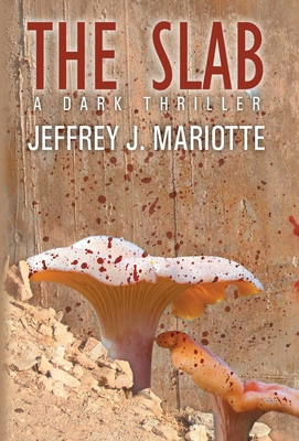 The Slab 1680570080 Book Cover