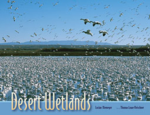 Desert Wetlands 0826332617 Book Cover