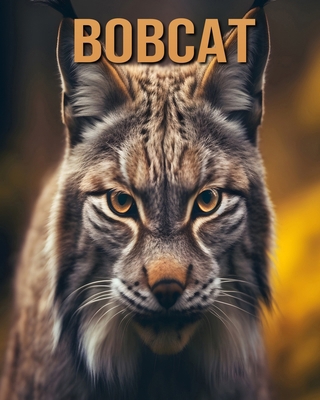 Bobcat: Learn About Bobcat and Enjoy Amazing Fa... B0DL44XJQK Book Cover