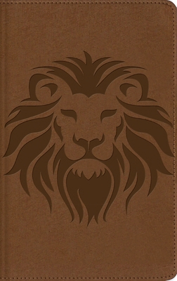 Nbla, Biblia Visual de Estudio Para Niños, León... [Spanish] 082977243X Book Cover