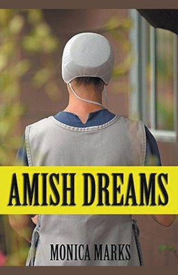 Amish Dreams B0CW7CN59X Book Cover