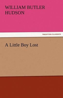 A Little Boy Lost 384242437X Book Cover