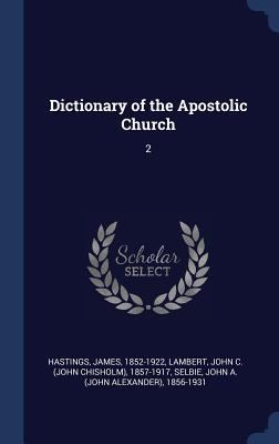 Dictionary of the Apostolic Church: 2 1340293013 Book Cover