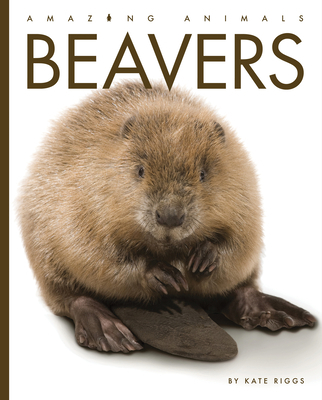 Beavers 1640265384 Book Cover