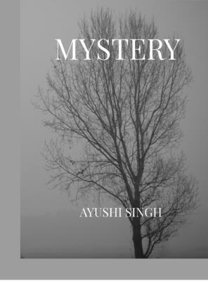 Mystery B0FDBYYW3R Book Cover