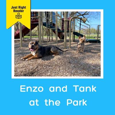 Enzo and Tank at the Park