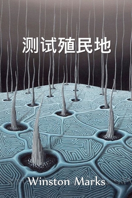 &#27979;&#35797;&#27542;&#27665;&#22320;: The T... [Chinese] 1034453963 Book Cover