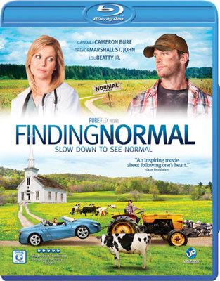 Finding Normal B00GST8UH2 Book Cover