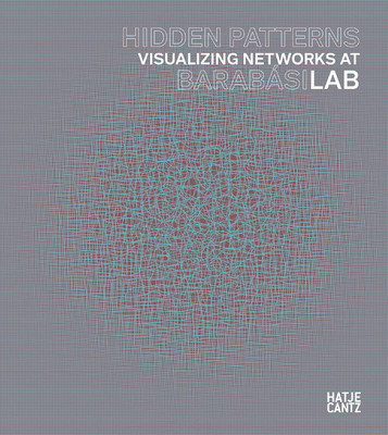 Hidden Patterns: Visualizing Networks at Baraba... 3775748628 Book Cover