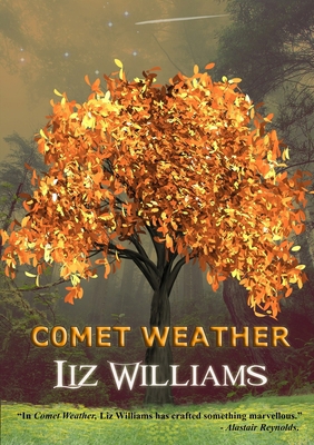Comet Weather 1912950464 Book Cover