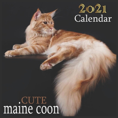 Paperback Cute maine coon: 2021 Wall & Office Calendar, 12 Month Calendar Book