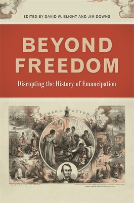 Beyond Freedom: Disrupting the History of Emanc... 0820351482 Book Cover