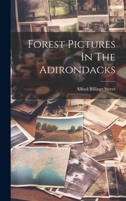 Forest Pictures In The Adirondacks 1019704659 Book Cover