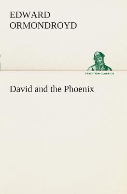 David and the Phoenix 3849507505 Book Cover