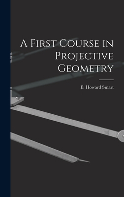 A First Course in Projective Geometry 1016386265 Book Cover