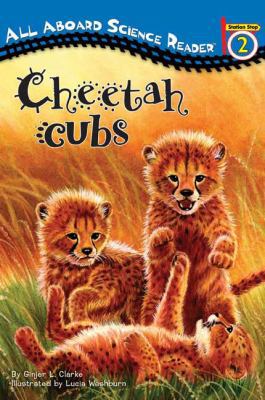 Cheetah Cubs 1417809833 Book Cover
