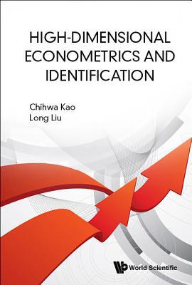 High-Dimensional Econometrics and Identification 9811200157 Book Cover
