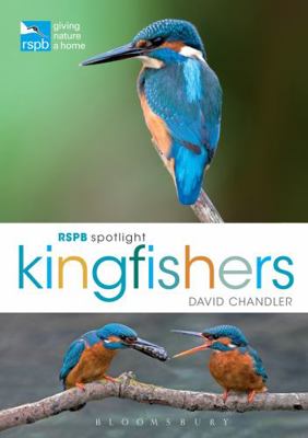 Rspb Spotlight Kingfishers 1472933672 Book Cover