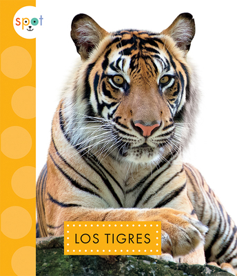 Los Tigres [Spanish] 1681527146 Book Cover