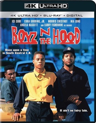 Boyz N the Hood            Book Cover