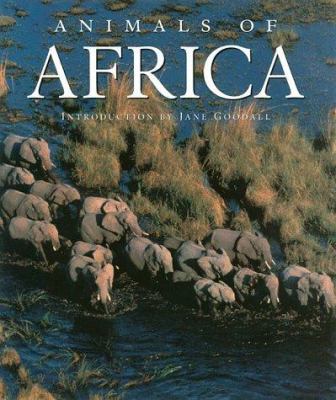 Animals of Africa 0883637979 Book Cover
