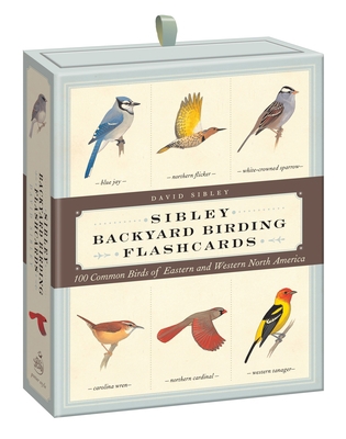 Sibley Backyard Birding Flashcards : 100 Common... B009T5TZRG Book Cover