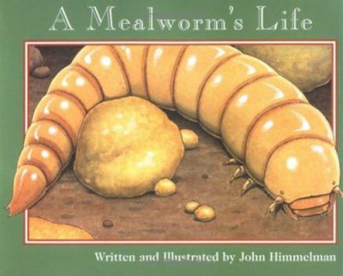 A Mealworm's Life 0516272861 Book Cover