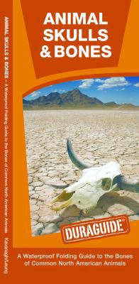 Animal Skulls & Bones: A Waterproof Pocket Guid... 1583555587 Book Cover